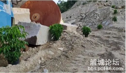 QQ图片20190819094601.jpg
