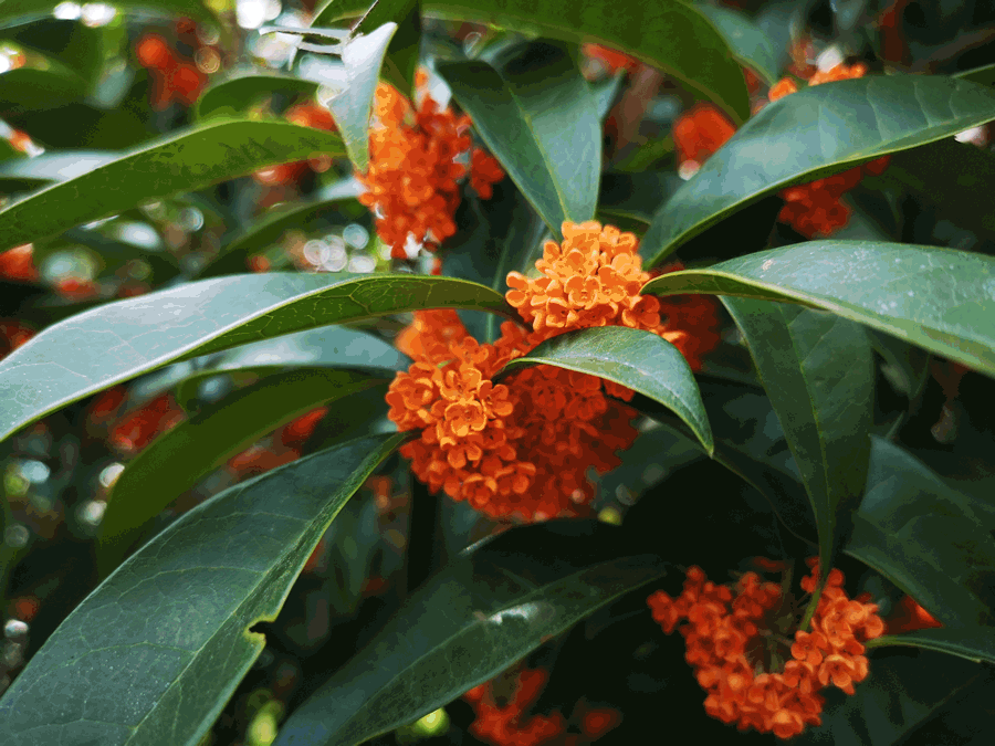 93aaa88ba16d7e7e01dd3a062c1e35f1.gif