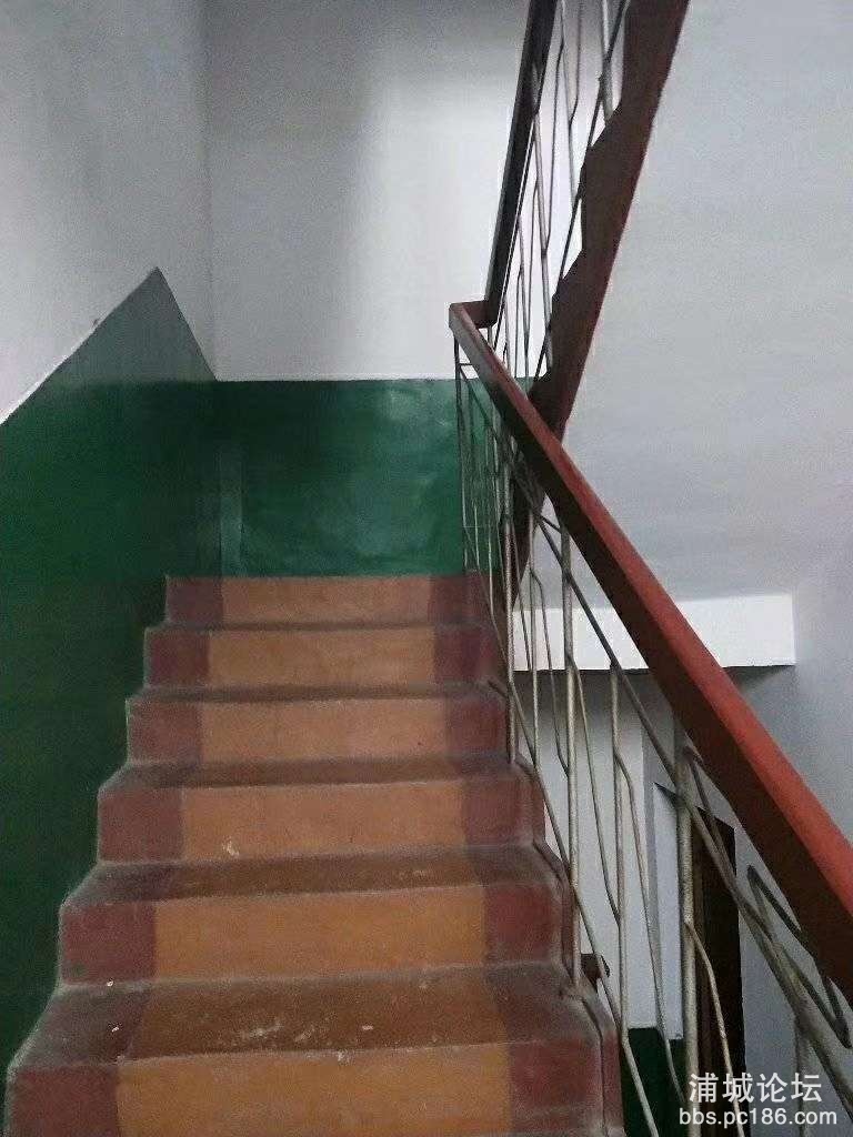 20191113_216773_1573611411872.jpg
