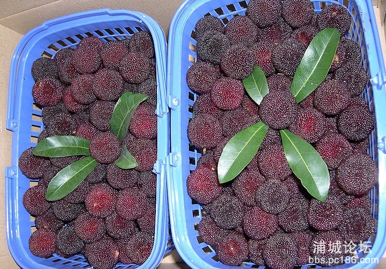 middle_204234_11461367671354739_afaf35bd30f6bb352ade11b98bfbc64c_看图王.jpg