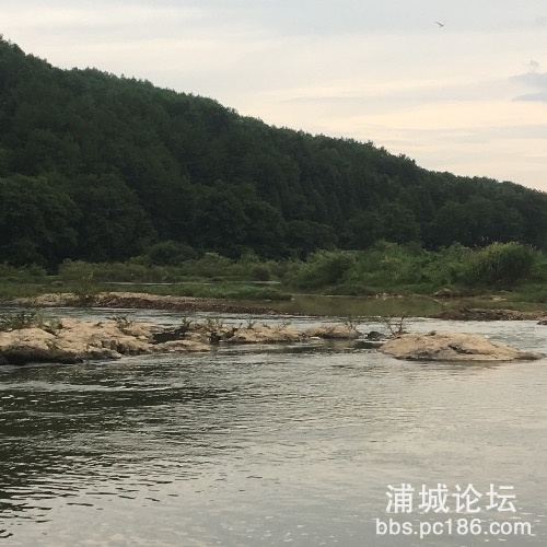 54F2A310-980E-423A-80CC-C5B0DF14B008.jpeg