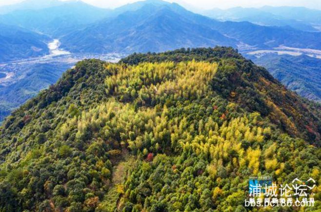 微信图片_20201209132317.png