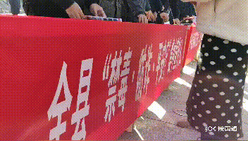 f85730fe2c3b31255b04845d924263d0.gif