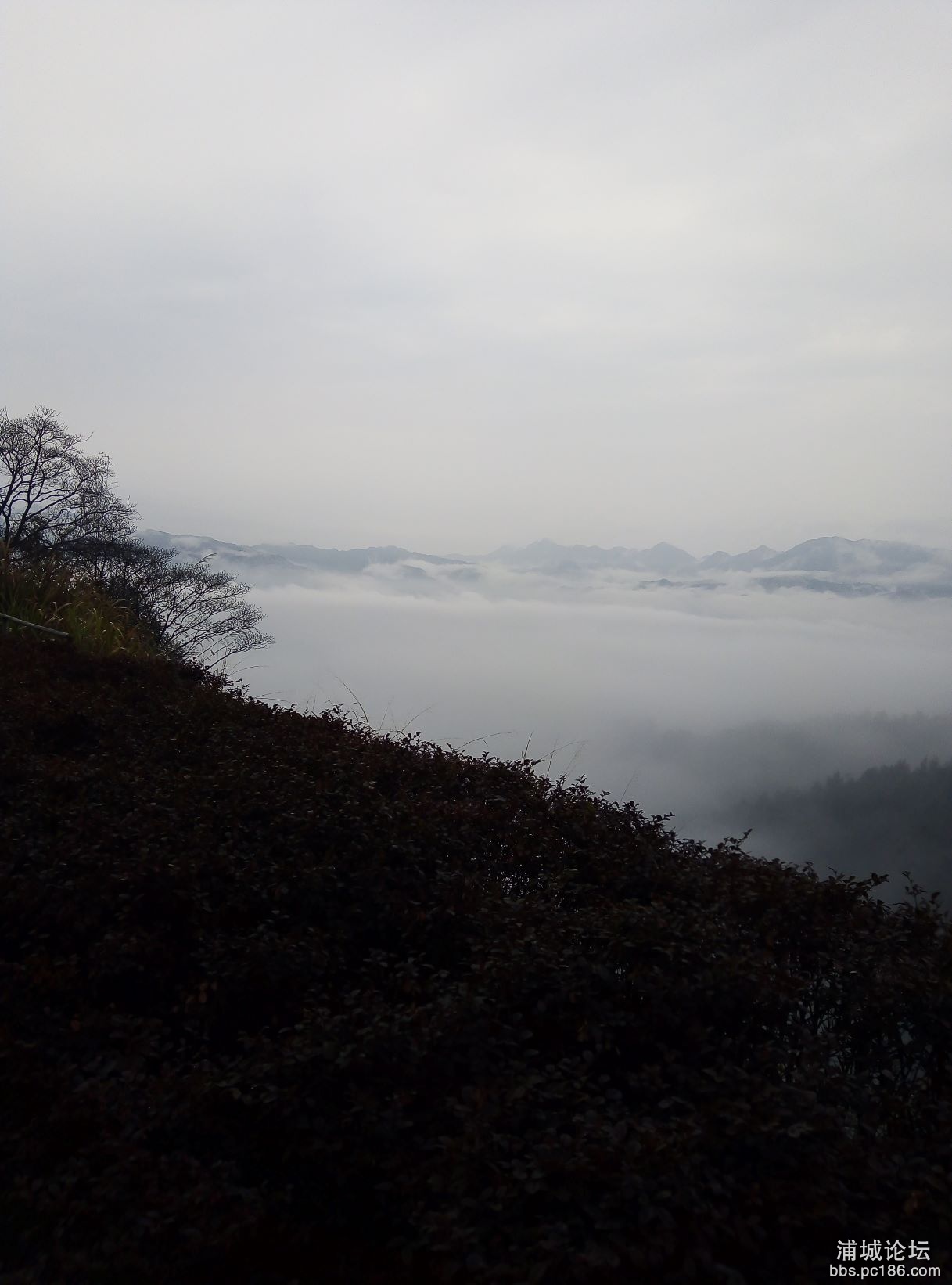 IMG_20210304_093134.jpg