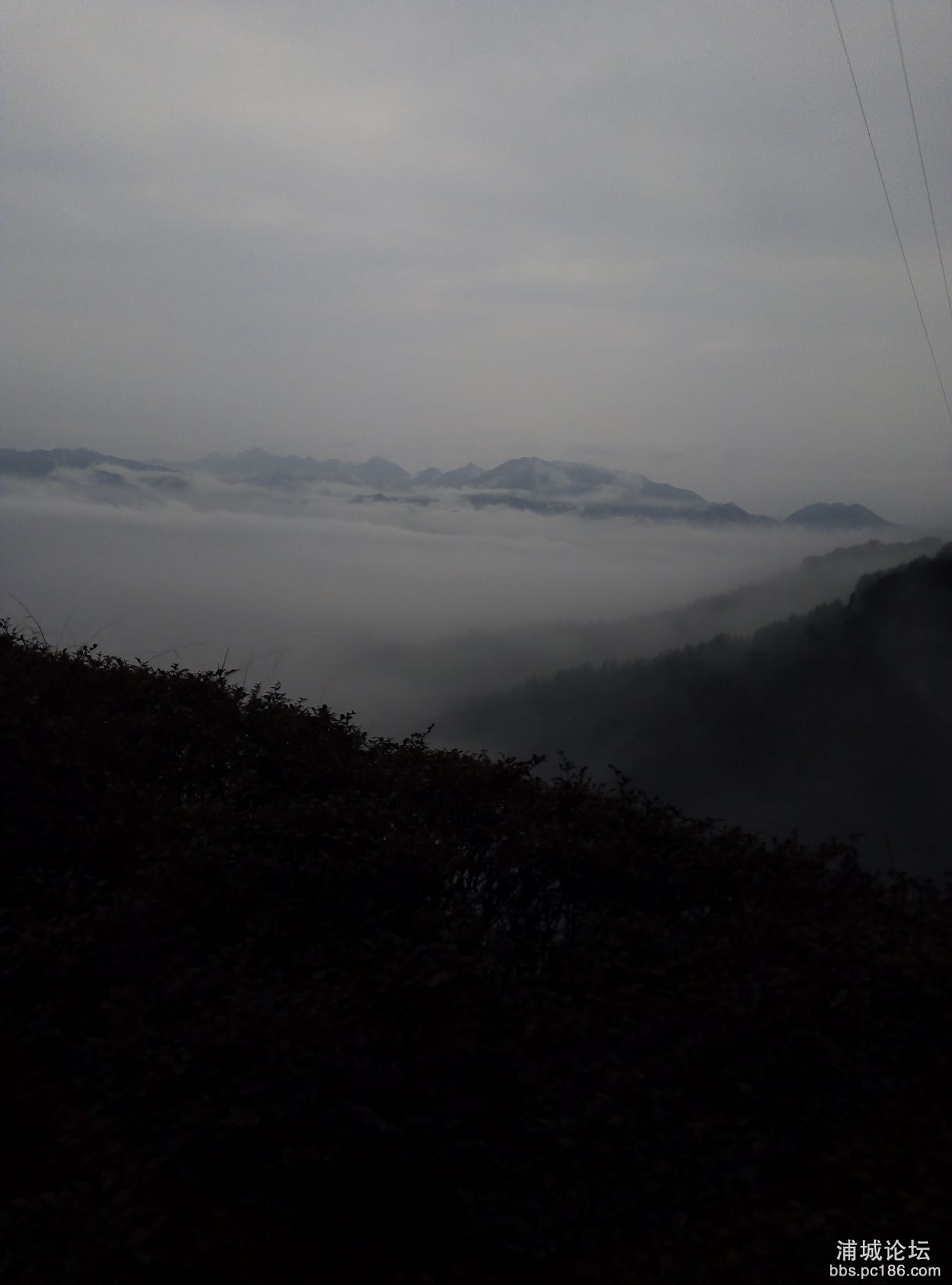 IMG_20210304_093129.jpg