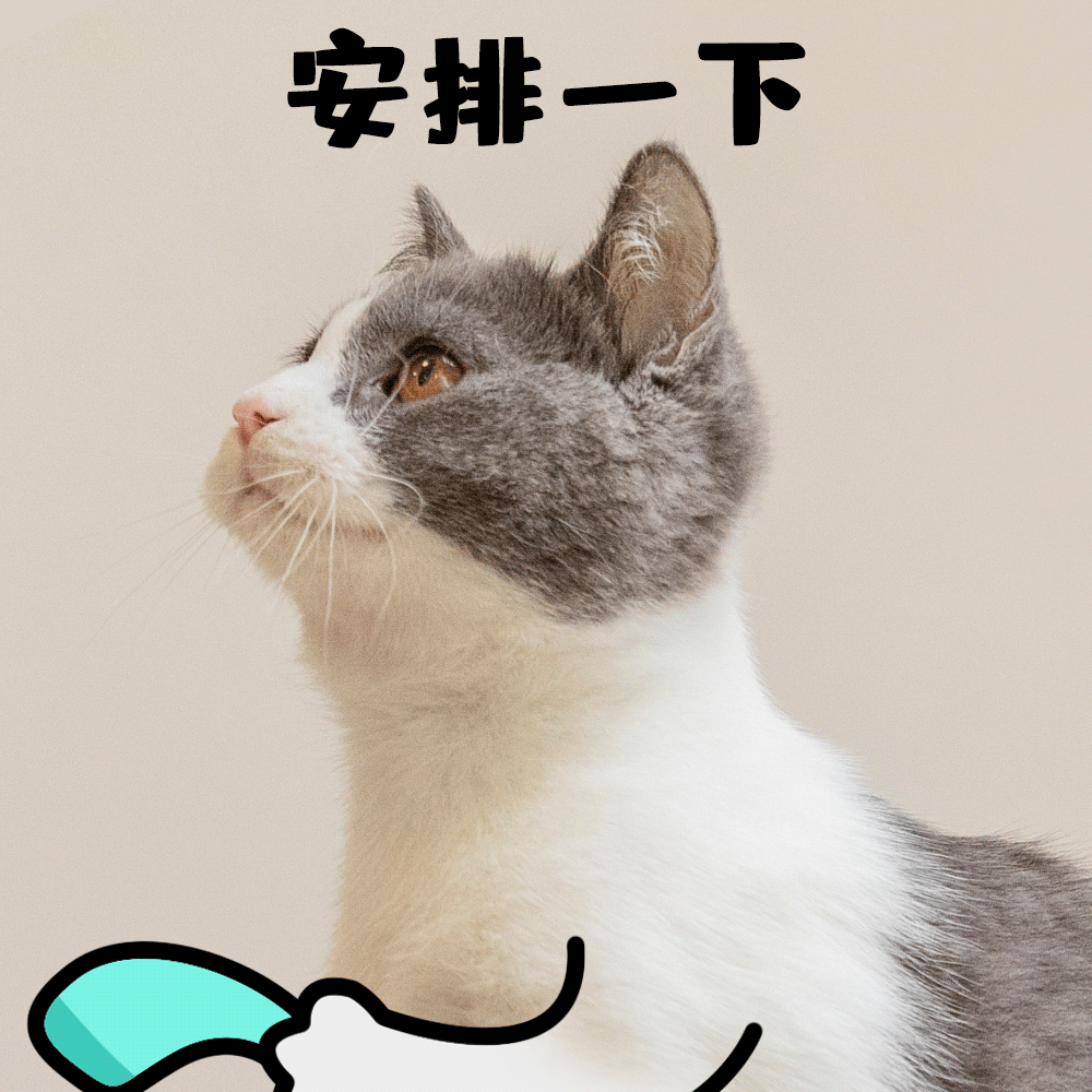 36070f5d3fc1c00d7792446952293e33.gif