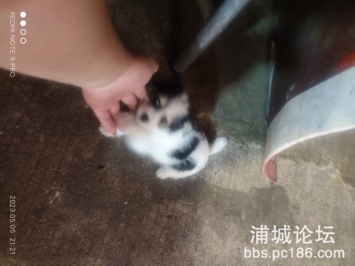 1683292853417..jpg