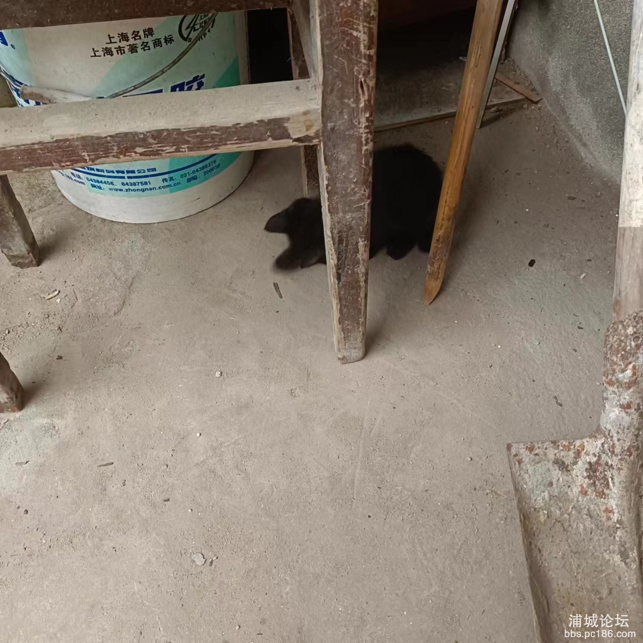 微信图片_20230526085954.jpg