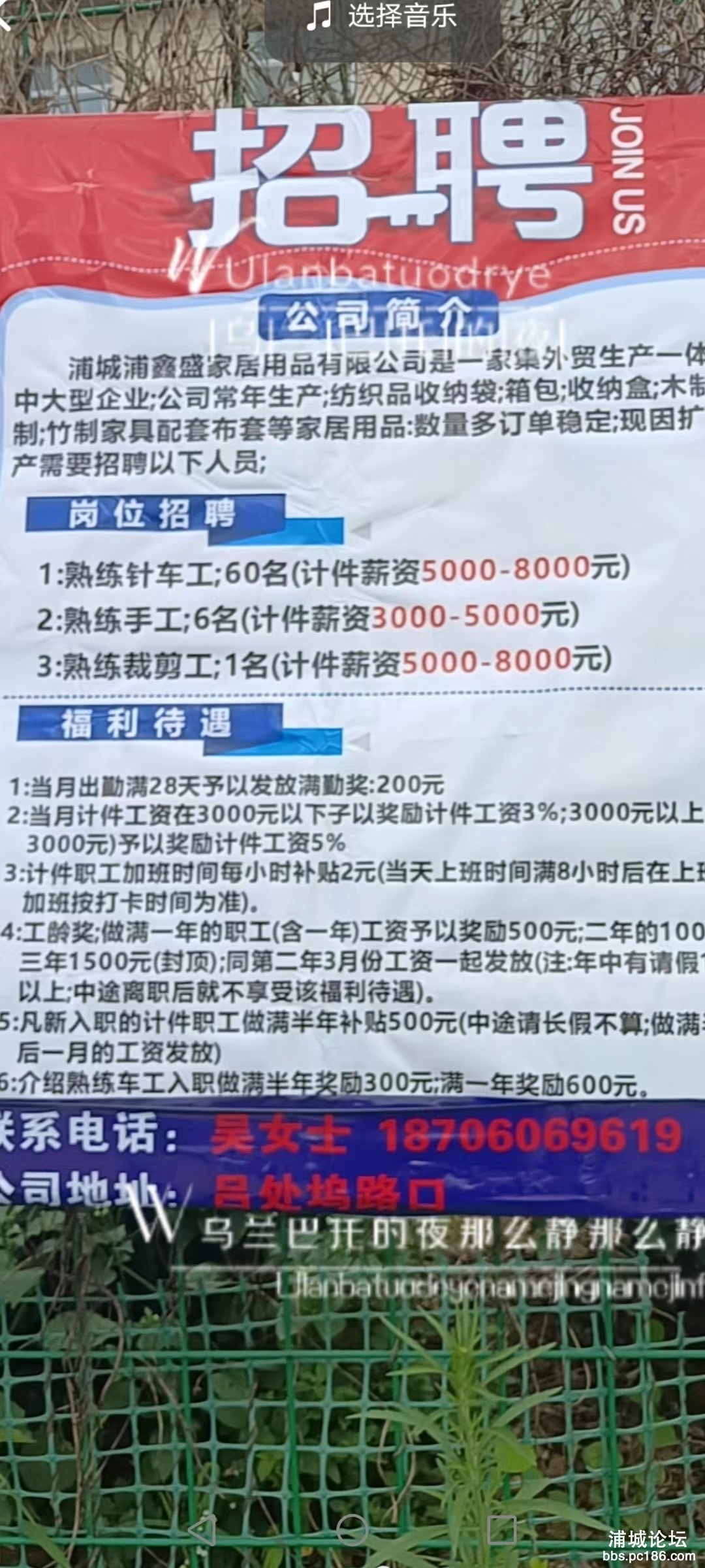 B04E641A-82DC-4783-8ED9-663BF8BC3952.jpeg