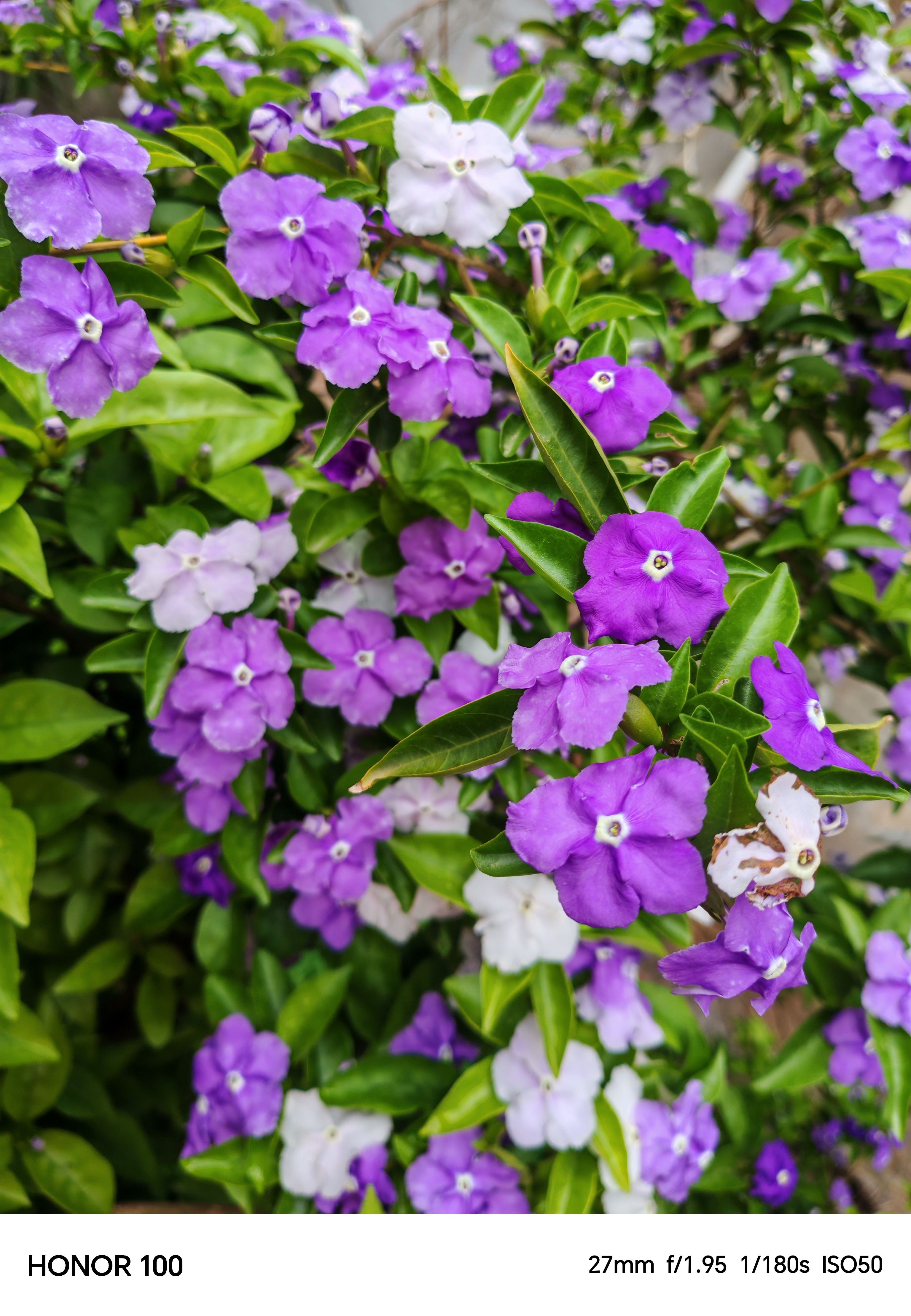 IMG_20250418_080320.jpg